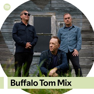 Imagem de Buffalo Tom