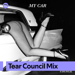 Imagem de Tear Council