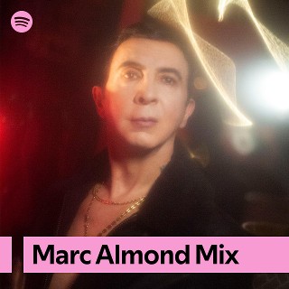 Imagem de Marc Almond