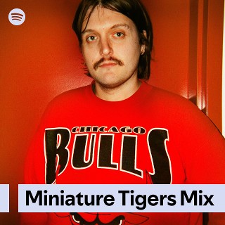 Imagem de Miniature Tigers
