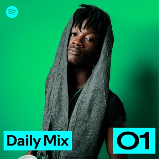 Daily Mix 1 | Spotify Playlist