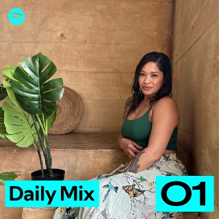 Daily Mix 1 | Spotify Playlist