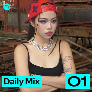 Daily Mix 1 | Spotify Playlist
