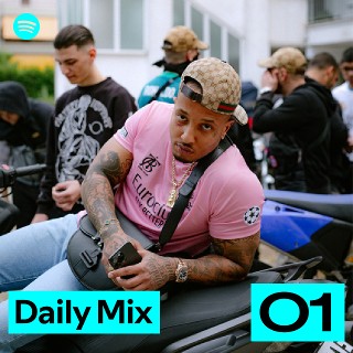 Daily Mix 1 | Spotify Playlist