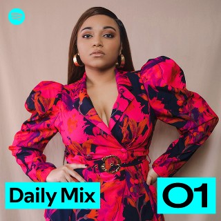 Daily Mix 1 | Spotify Playlist
