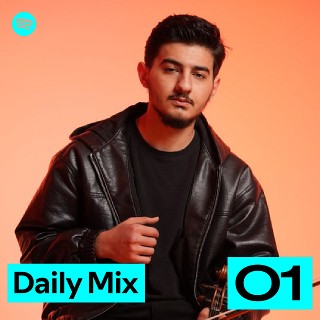 Daily Mix 1 | Spotify Playlist