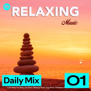 Daily Mix 1 | Spotify Playlist