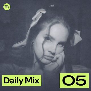 Daily Mix 5 Spotify Playlist
