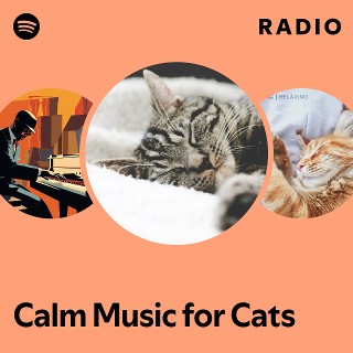 Calm Music for Cats Radio playlist by Spotify Spotify