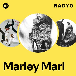 洋楽 MARLEY MARL HIP HOP DICTIONARY Hip Hop Dictionary - Album by Marley Marl | Spotify
