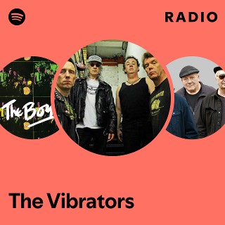 Imagem de The Vibrators