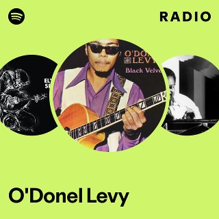 O'Donel Levy LP オリジナル　Jazz funk O'Donel Levy / Breeding Of Mind(LP) / Groove Merchant 1972 US