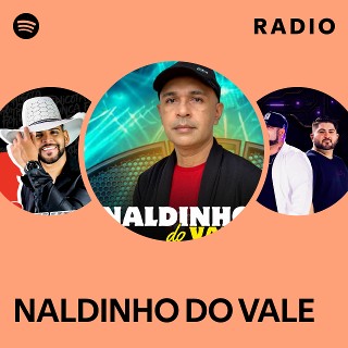 Imagem de Naldinho do Vale
