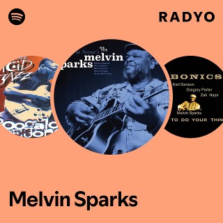 SPARKS! / MELVIN SPARKS Rare groove 米オリジ SPARKS! / MELVIN SPARKS Rare groove 米オリジ（世界1500枚