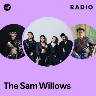 Imagem de The Sam Willows