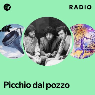 Picchio dal pozzo | Spotify