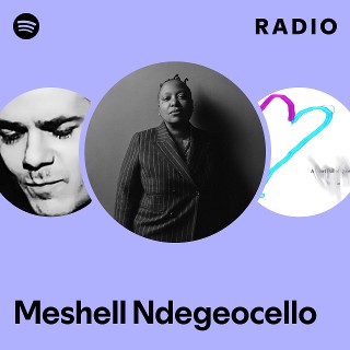 洋楽 meshell NdegeOcello LP ミシェル・ンデゲオチェロ／Devil's Halo 10240910H06N - メルカリ