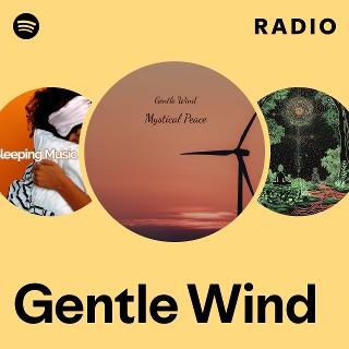 2-2450 the Gentle Wind CD「Gentle Voice」 The Gentle Wind (ザ・ジェントル・ウインド): Gentle Voice