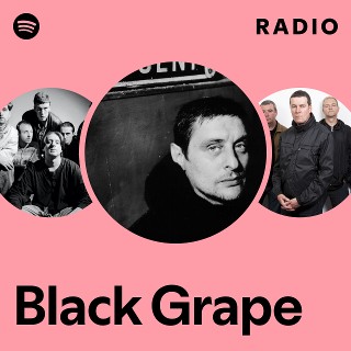 洋楽 Black Grape / Stupid Stupid Stupid LP Stupid Stupid Stupid - Wikipedia
