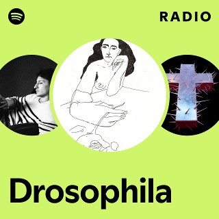 Imagem de Drosophila