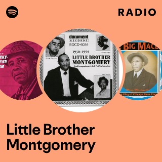 Little Brother Montgomery | Spotify