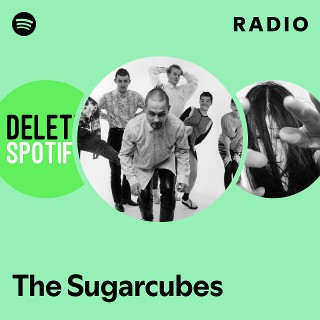 The Sugarcubes | Spotify
