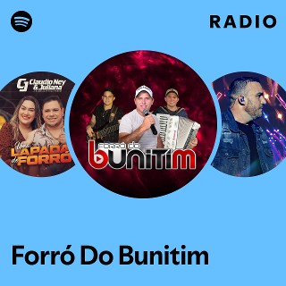 Imagem de Forro do Bunitim