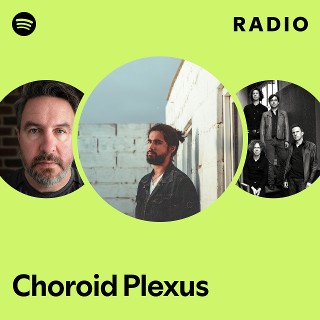 Imagem de Choroid Plexus