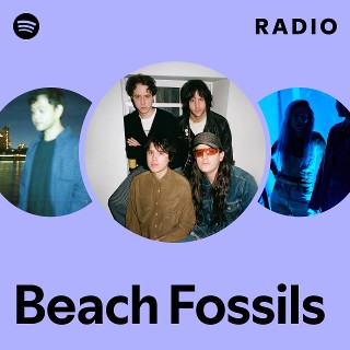 Imagem de Beach Fossils