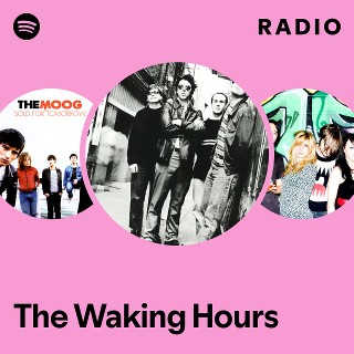 洋楽 THE WAKING HOURS 7inch THE WAKING HOURS 7inch 洋楽