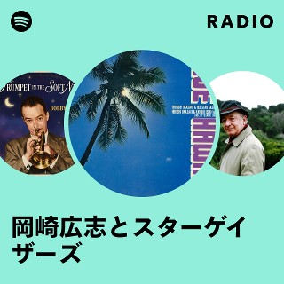 LP 岡崎広志とスターゲイザーズ/ア・コンピレーション/小西康陽ソフトロック Amazon.co.jp: a compilation: ミュージック