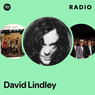 80s USA製 DAVID LINDLEY デヴィッド リンドレー ラスタ希少 07_0112_01.jpg?bc=White&as=1&h