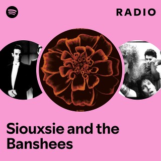 Siouxsie and the Banshees: радио