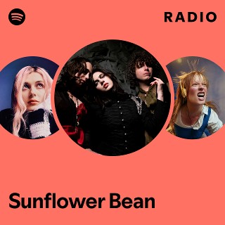 Sunflower Bean サンフラワー・ビーン レコード 2枚 Sunflower Bean サンフラワー・ビーン レコード 2枚