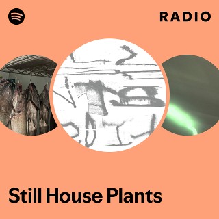 Still House Plants | Spotify