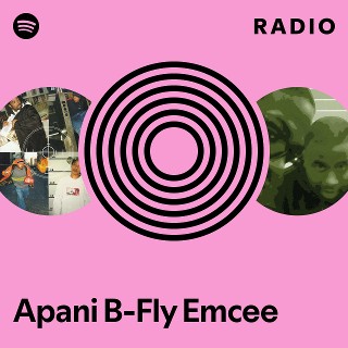 洋楽 Apani B-fly Emcee / Laws Apani B-Fly Emcee – Laws – Vinyl (12