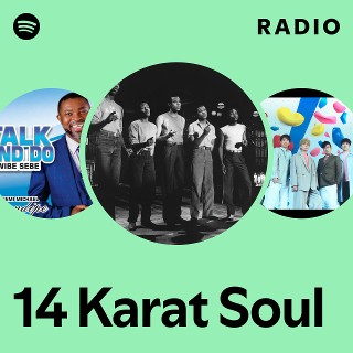 14 Karat Soul | Spotify