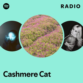 Imagem de Cashmere Cat