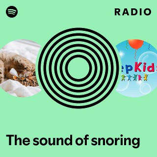 The sound of snoring Radio | Spotify Playlist