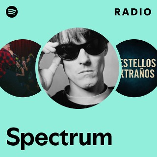 LP/SONIC BOOM solo SPECTRUM/ex SPACEMEN3（Spectrum | Spotify）