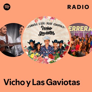 Imagem de Vicho y Las Gaviotas