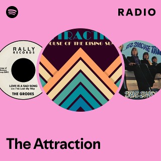 The Attraction | Spotify