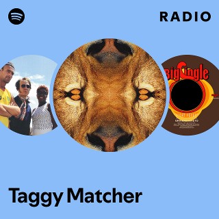 Taggy Matcher | Spotify