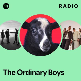 洋楽 The Ordinary Boys / Over the Counter LP The Ordinary Boys – Over The Counter Culture – Vinyl (LP