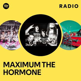 Maximum the Hormone CD Album Rock Impo Goroshi MTH | eBay