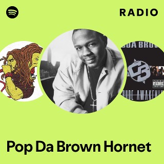 Pop Da Brown Hornet | Spotify