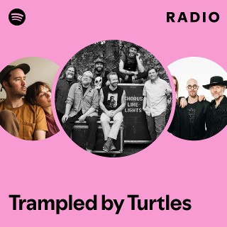 Imagem de Trampled by Turtles