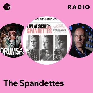 The Spandettes | Spotify
