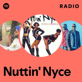 Nuttin' Nyce | Spotify