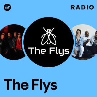 Imagem de The Flys